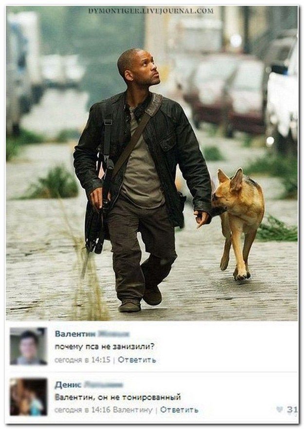 Прикольные комментарии из социальных сетей (40 фото)