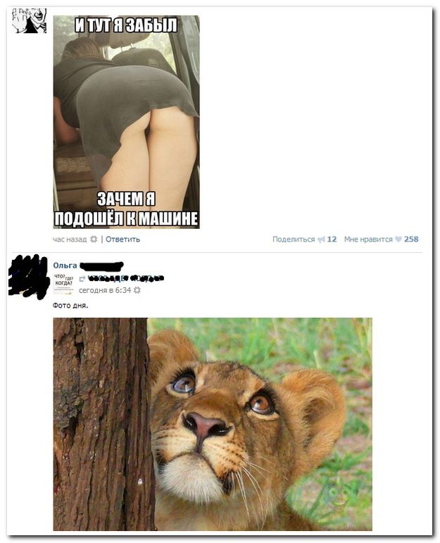 Прикольные комментарии из социальных сетей (40 фото)