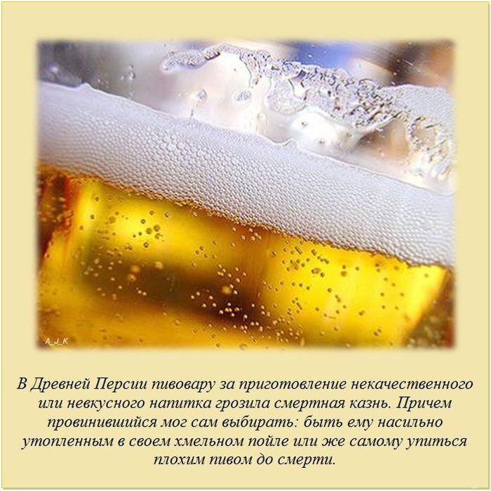 Интересные факты (62 фото)