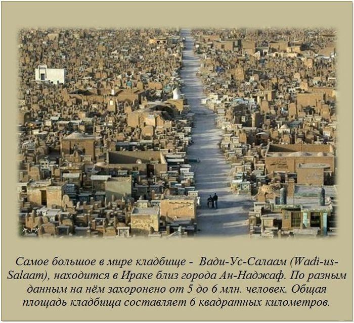 Интересные факты (62 фото)