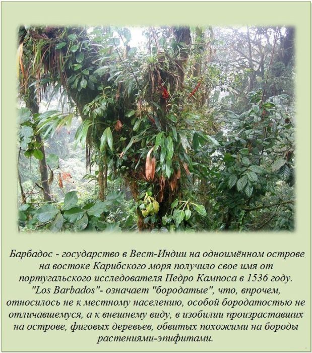 Интересные факты (62 фото)