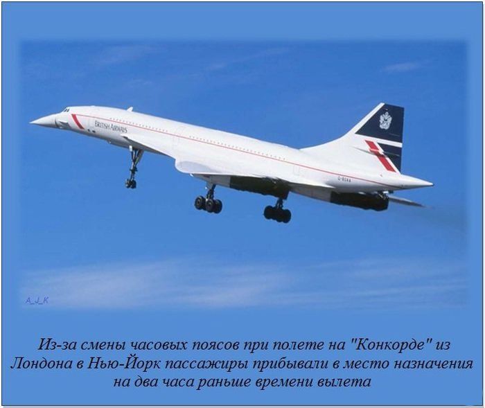 Интересные факты (62 фото)