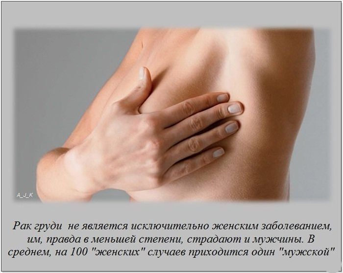 Интересные факты (62 фото)