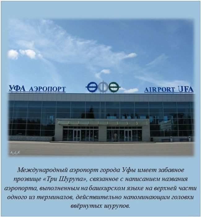 Интересные факты (62 фото)