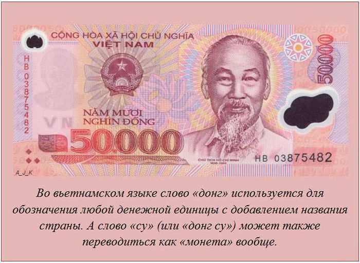 Интересные факты (62 фото)