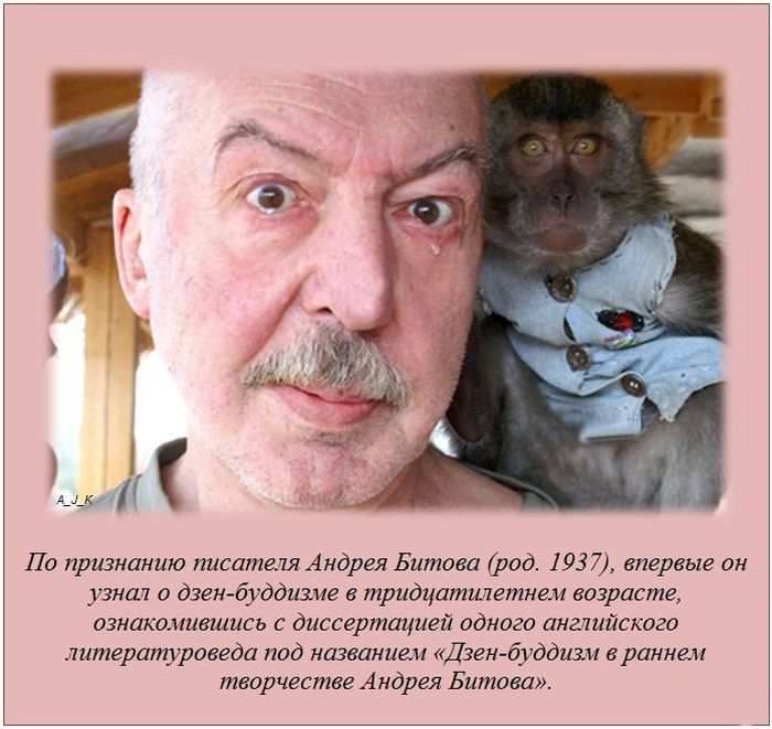 Интересные факты (62 фото)