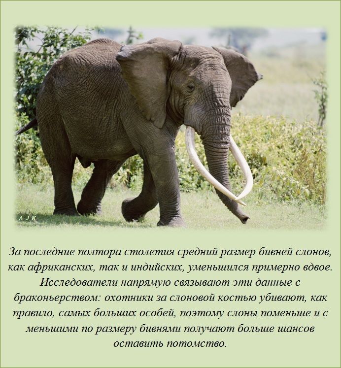 Интересные факты (62 фото)