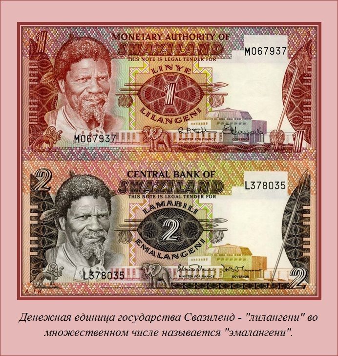 Интересные факты (62 фото)