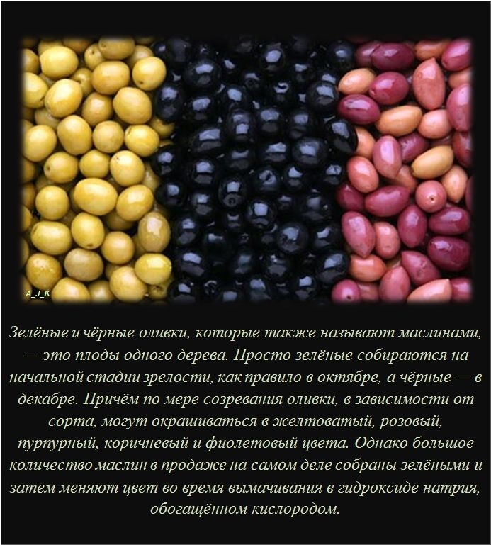 Интересные факты (62 фото)