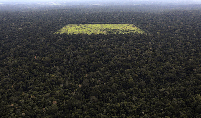 День Земли 2015