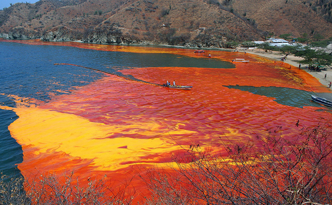 День Земли 2015