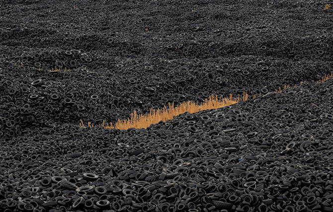 День Земли 2015