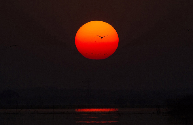 День Земли 2015