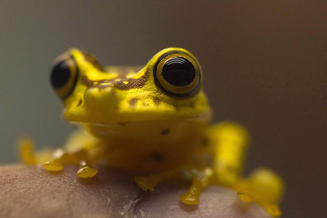 День Земли 2015