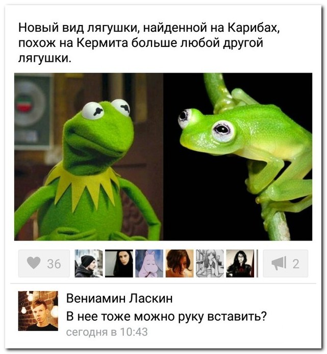 Смешные комментарии из социальных сетей 