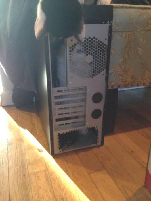 Компьютерные технологии