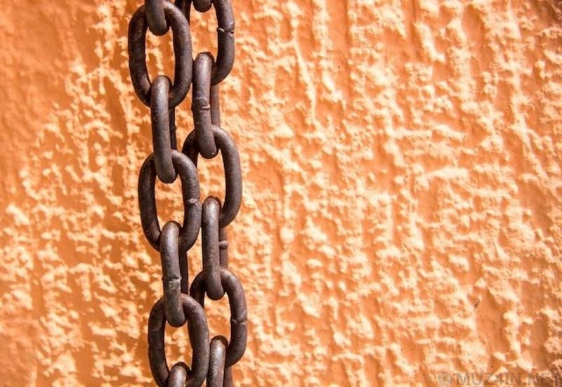 Пугающие факты Пугающие факты