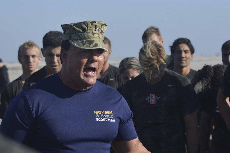 Морской котик попался на взрослом видео