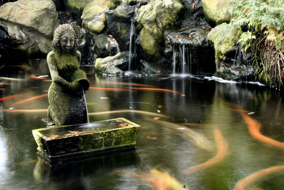 Долгожители мира