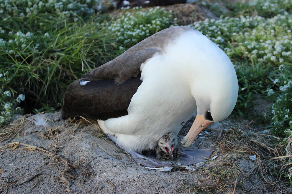 Долгожители мира