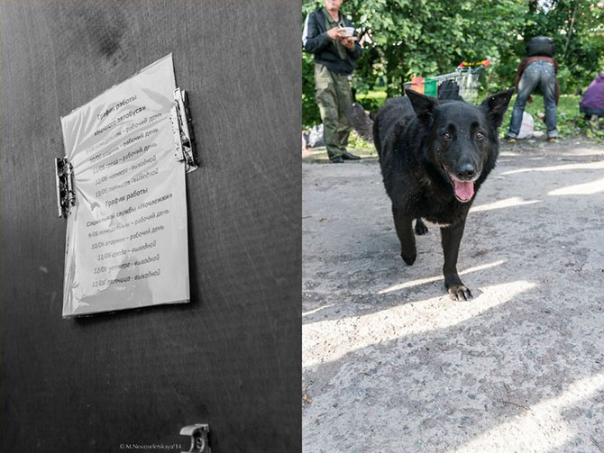 Другая жизнь. «Ночной автобус» (58 фото)