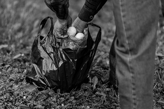 Другая жизнь. «Ночной автобус» (58 фото)