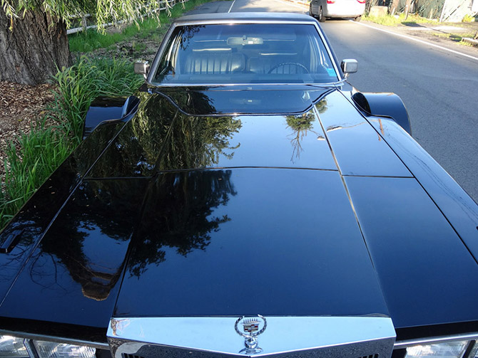 Настоящий кадиллак (25 фото)