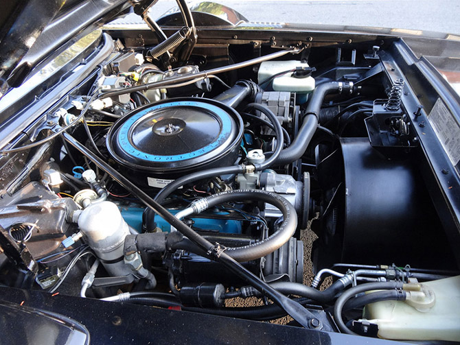 Настоящий кадиллак (25 фото)