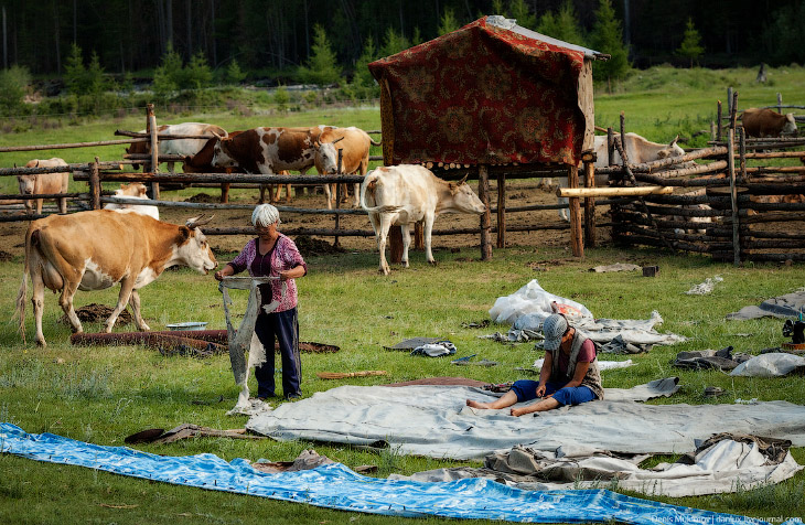 Тувинские пейзажи Тувинские пейзажи