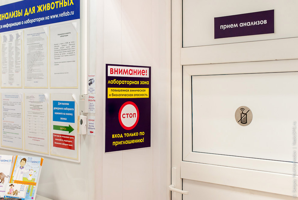 Четвероногие доноры