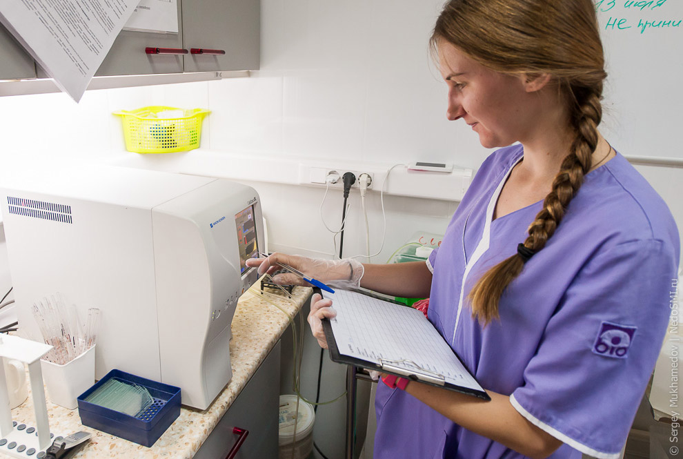 Четвероногие доноры