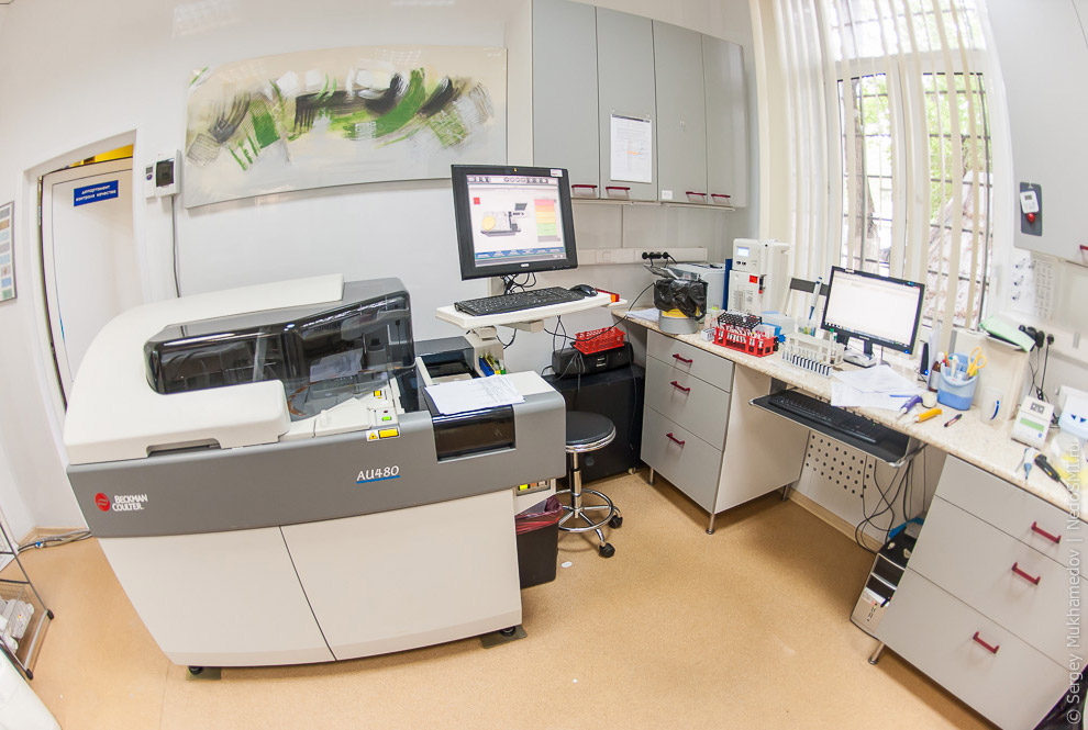 Четвероногие доноры