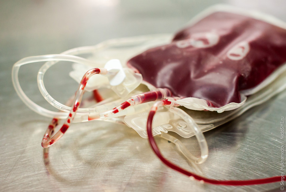 Четвероногие доноры