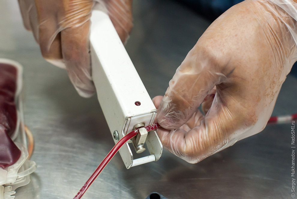 Четвероногие доноры