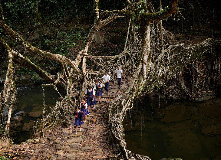 Мегхалая — самое влажное место на Земле