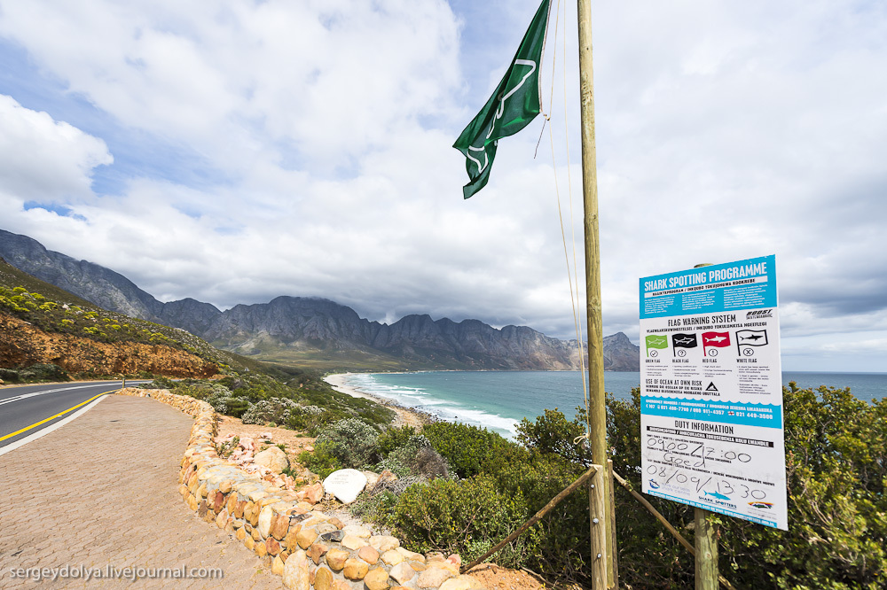 Погружение в клетке к большим белым акулам