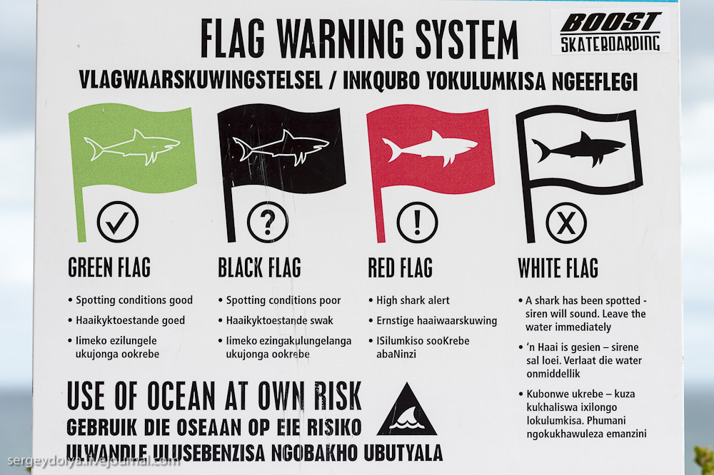 Погружение в клетке к большим белым акулам