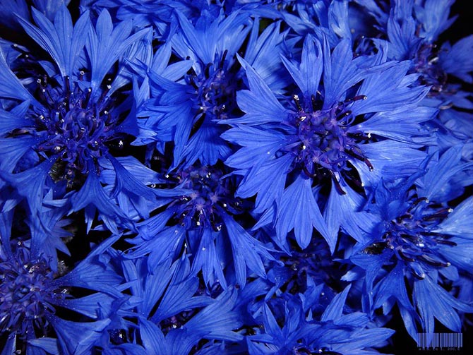 14 советов о том, как стать счастливей 14 советов о том, как стать счастливей