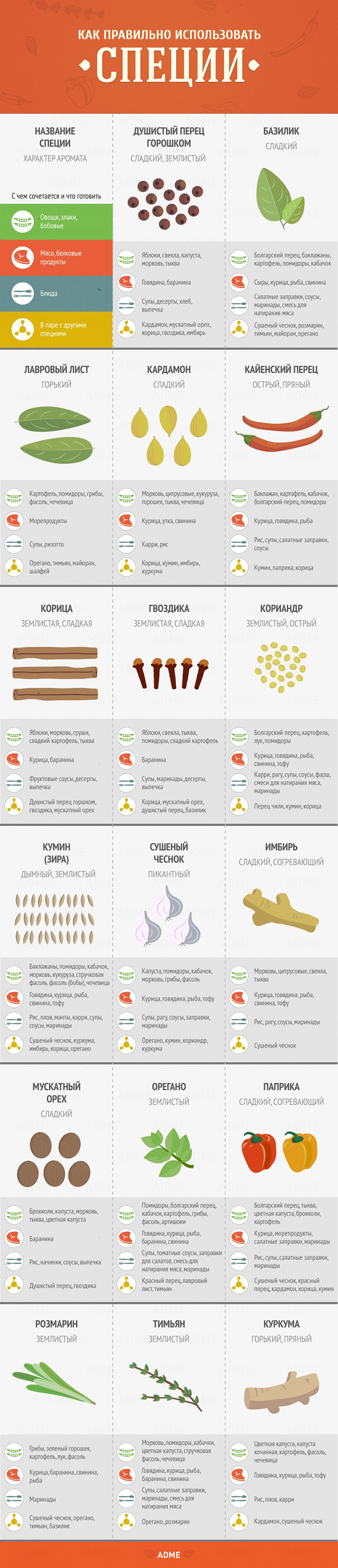 Гид по кухне и готовке