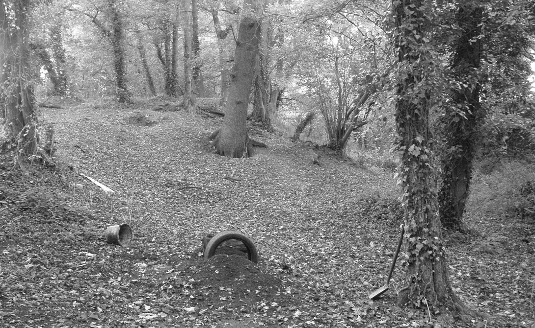 Кто такие ведьмы и колдуны на самом деле