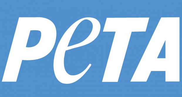 Самые невероятные судебные иски в истории Самые невероятные судебные иски в истории