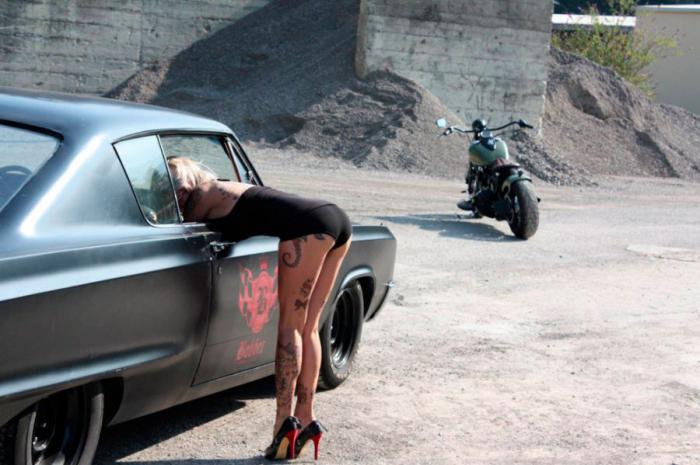 Прикольные картинки