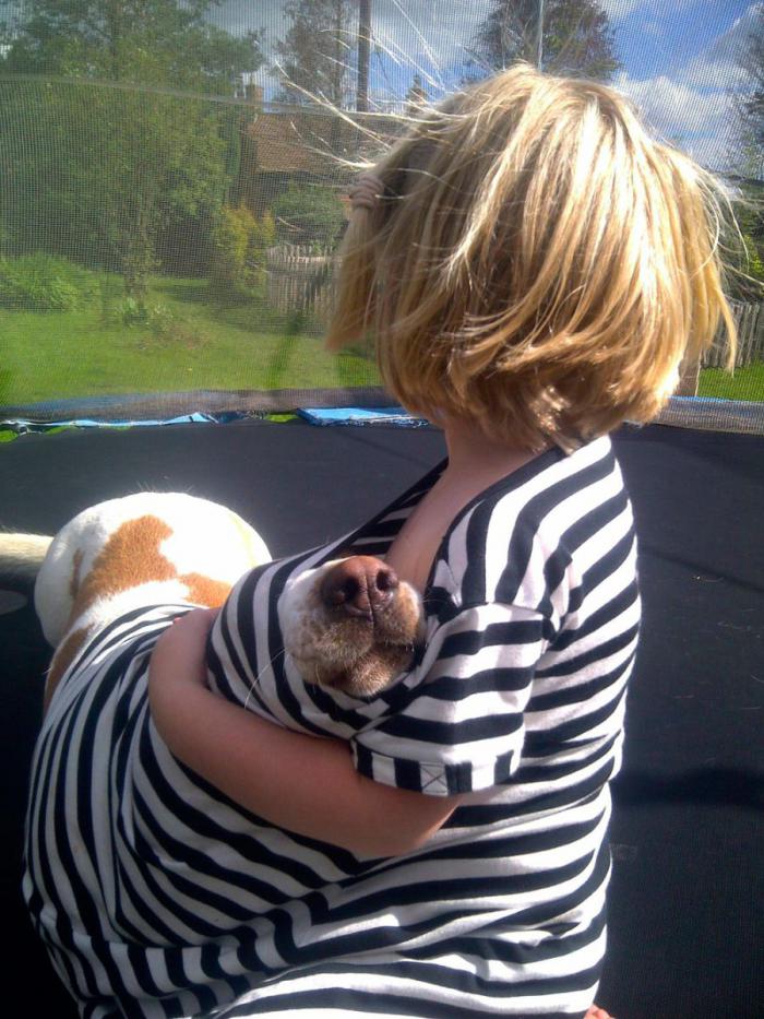 Прикольные картинки