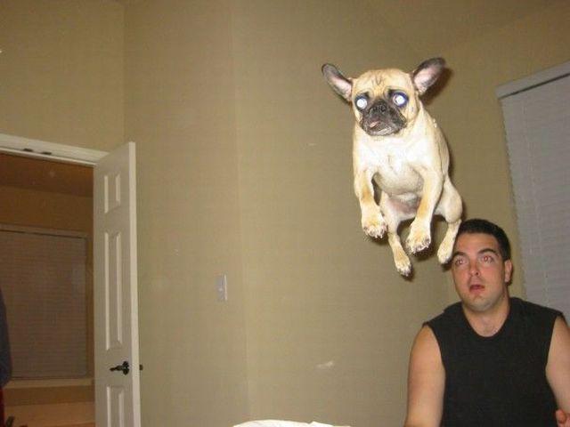 Прикольные картинки