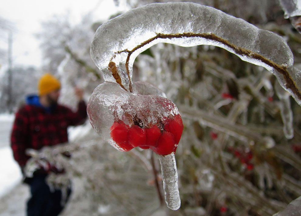 Ледяной дождь в Канаде