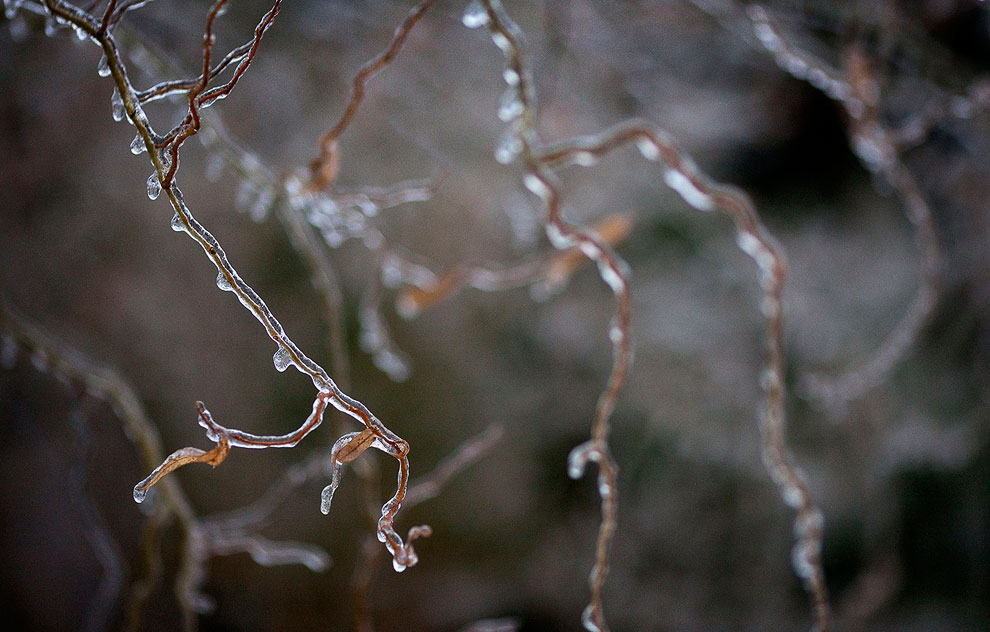 Ледяной дождь в Канаде