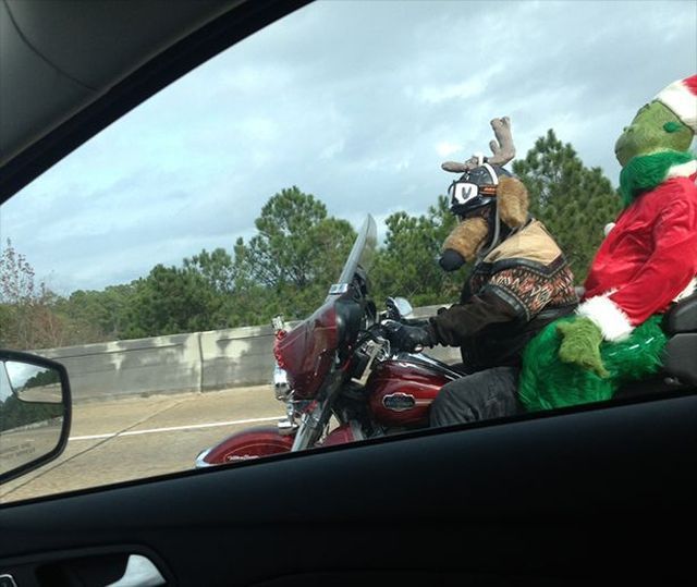 Прикольные картинки