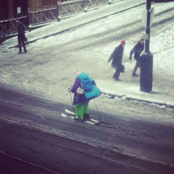 Прикольные картинки