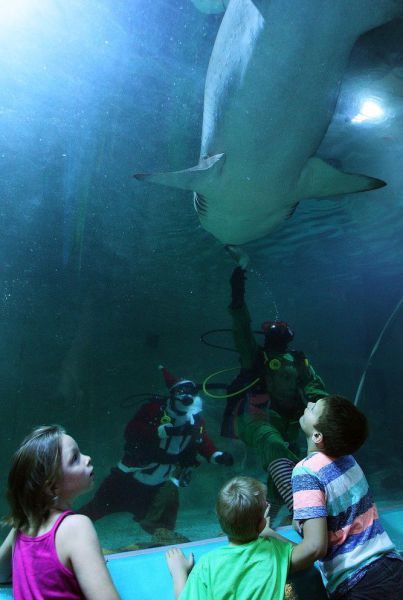 Прикольные картинки