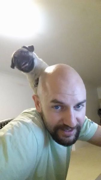 Прикольные картинки